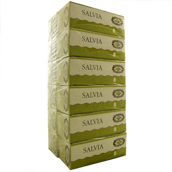 Salvia Infusion 10x25inf Infutisa Salvia Infusion 10x25inf Infutisa