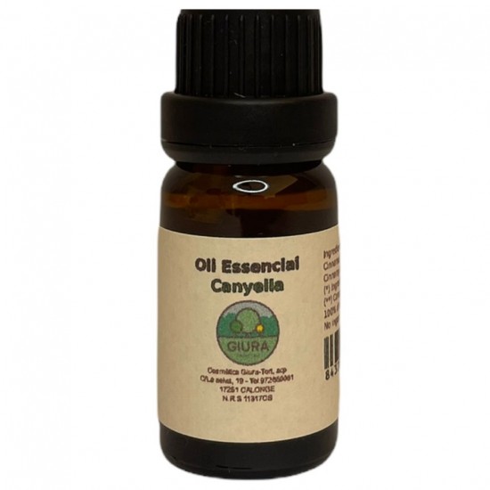 Aceite Esencial de Canela 12ml Giura Cosmetics Aceite Esencial de Canela 12ml Giura Cosmetics