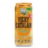 Agua Con Gas Naranja Lata 330ml Vichy Catalan