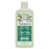 Champu Arbol Te Purificante Bio 250ml Natessance