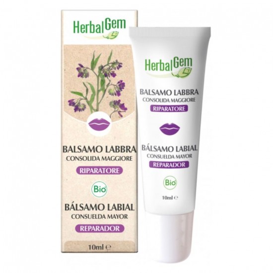 Balsamo Labial Consuelda Mayor Bio 10ml Herbalgem Balsamo Labial Consuelda Mayor Bio 10ml Herbalgem