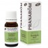 Esencia Eucalipto Azul Hoja Bio 10ml Pranarom
