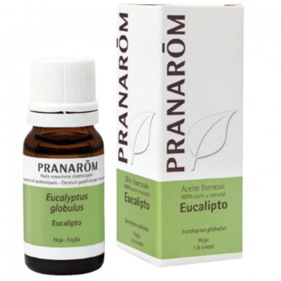Esencia Eucalipto Hoja 10ml Pranarom Esencia Eucalipto Hoja 10ml Pranarom