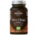 Extracto Mico Chaga Vit.C Eco 70caps Hifas da Terra