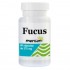 Fucus 275Mg 60caps Mensan