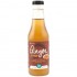Sirope de jengibre Bio Vegan 250ml Terrasana