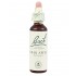 Bach 10 Manzano Silvestre 20ml Flores de Bach