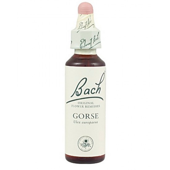 Bach 13 Aulaga 20ml Flores de Bach Bach 13 Aulaga 20ml Flores de Bach