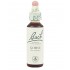 Bach 13 Aulaga 20ml Flores de Bach