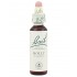 Bach 15 Acebo 20ml Flores de Bach