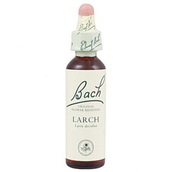 Bach 19 Alerce Larch 20ml Flores de Bach Bach 19 Alerce Larch 20ml Flores de Bach