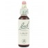 Bach 19 Alerce Larch 20ml Flores de Bach