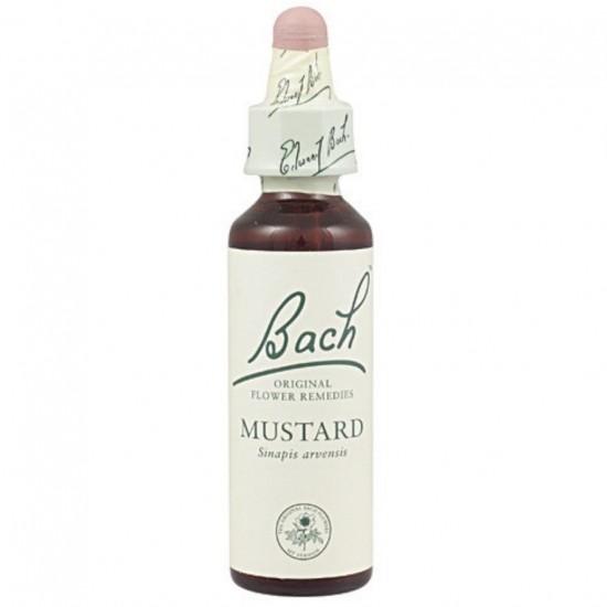 Bach 21 Mostaza 20ml Flores de Bach Bach 21 Mostaza 20ml Flores de Bach