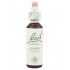 Bach 23 Olivo 20ml Flores de Bach