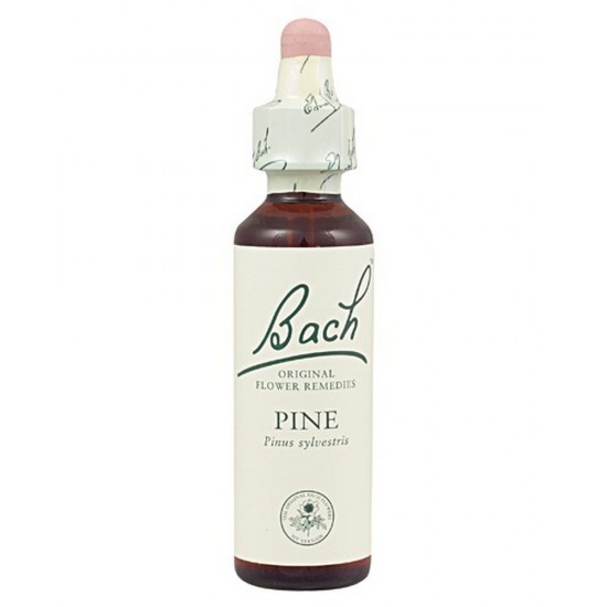 Bach 24 Pino 20ml Flores de Bach Bach 24 Pino 20ml Flores de Bach
