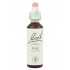Bach 24 Pino 20ml Flores de Bach
