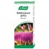 Boldocynara Gotas 100ml A.Vogel