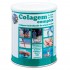 Colagem Complex Polvo 330gr Dis