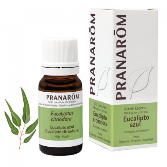 Esencia Eucalipto Azul 10ml Pranarom Esencia Eucalipto Azul 10ml Pranarom