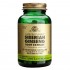 Ginseng Siberiano 60caps Solgar