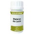 Holofungi Melena de Leon 180caps Equisalud