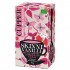 Infusion Fresa y Vainilla Bio 20inf Cupper