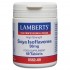 Isoflavonas Soja 50Mg 60comp Lamberts