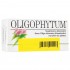 Oligophytum Cobre Zinc 100 Comp Holistica
