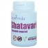 Shatavari 60caps Ayurveda