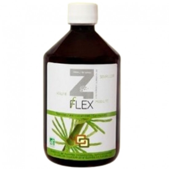 Z Flex Bio 500ml Mint-E Health